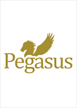 Pegasus Publishing